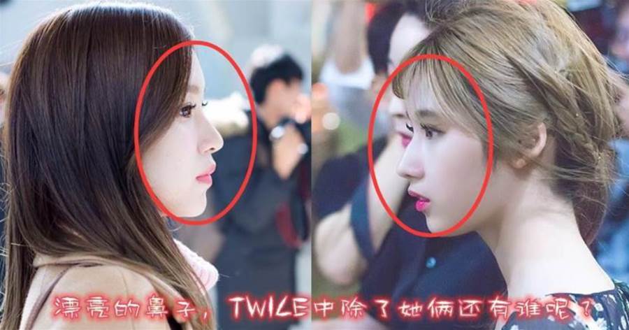 整形醫生提名TWICE最漂亮鼻子！兩位是日本人，有韓國人嗎？